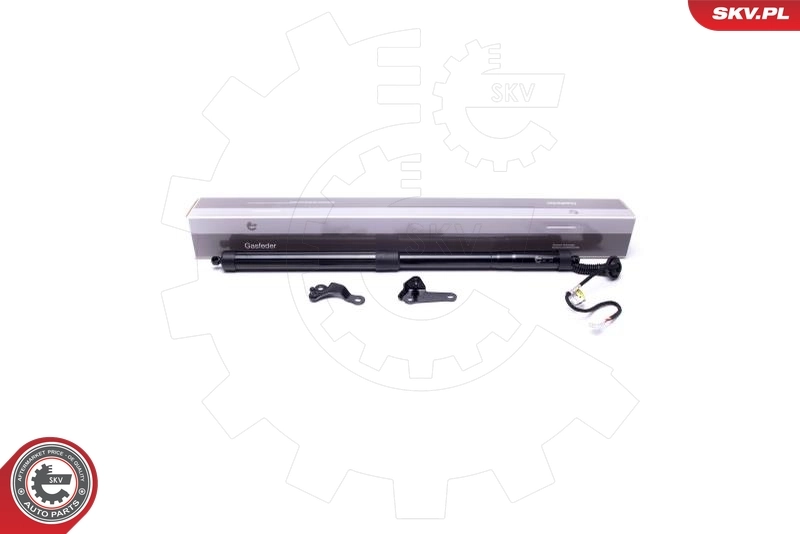 Electric Motor, tailgate